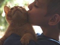 Adopting a Pet
